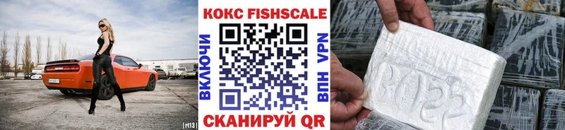 COCAIN FishScale  Купить закладки  Жердевка 