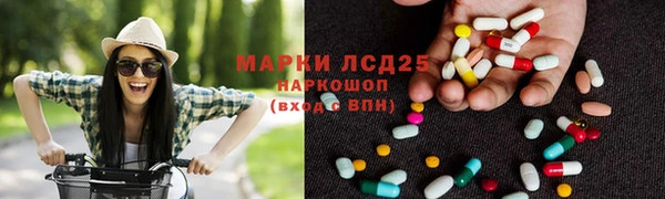 ПСИЛОЦИБИНОВЫЕ ГРИБЫ Лагань